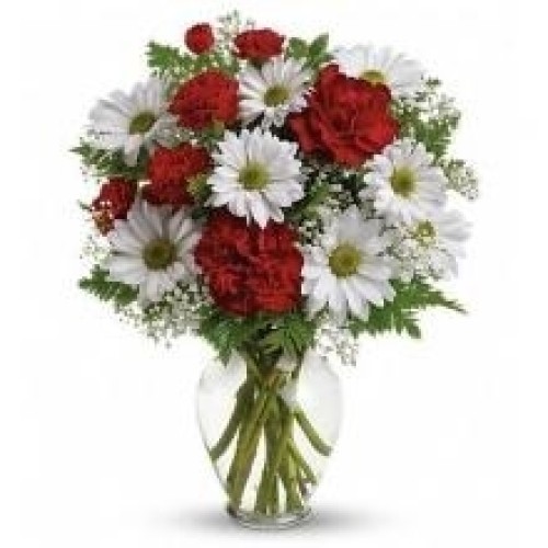Carnation And Gerberas Vase